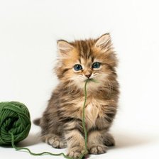 Оригинал схемы вышивки «Котёнок» (№840024)