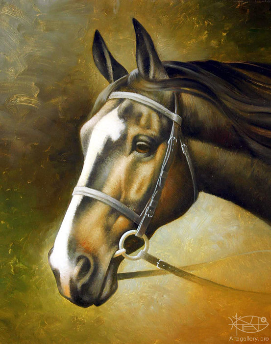 красавица лошадь - животное, конь, лошадь, природа, живопись - оригинал