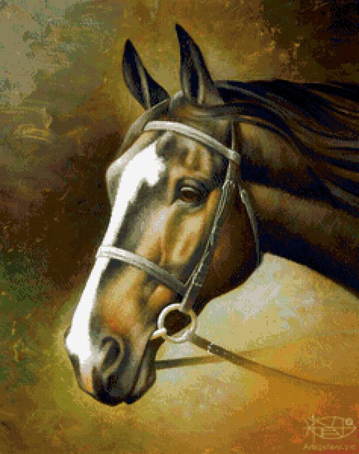 красавица лошадь - животное, лошадь, живопись, конь, природа - предпросмотр
