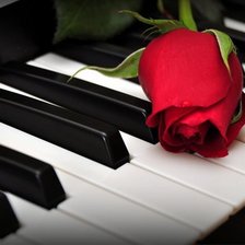 Схема вышивки «роза на пианино»