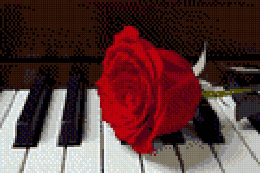 роза на рояле - роза .рояль.пианино - предпросмотр