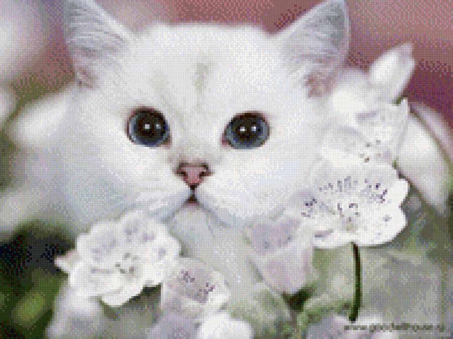 котик - кот, цветы - предпросмотр