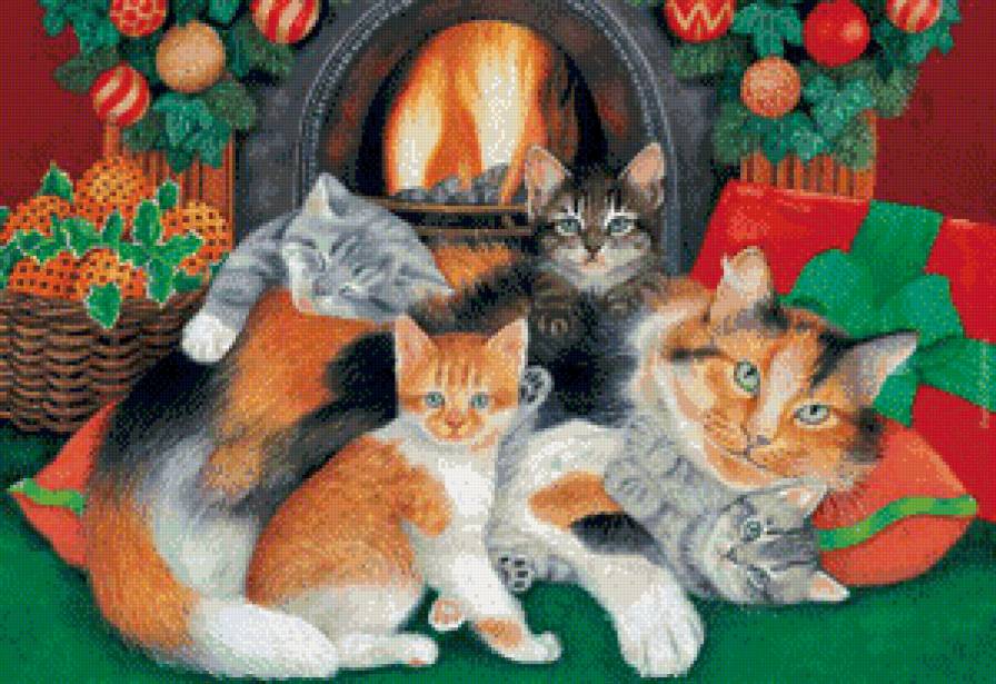 котики - новый год, котята, рождество, кошки, кошка, котик, кот, животные - предпросмотр