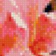 Предпросмотр схемы вышивки «розовые ириски» (№842706)