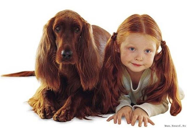 девочка и собака - рыжие, девочка, собака - оригинал