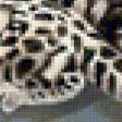 Предпросмотр схемы вышивки «семейство ягуаров» (№843045)