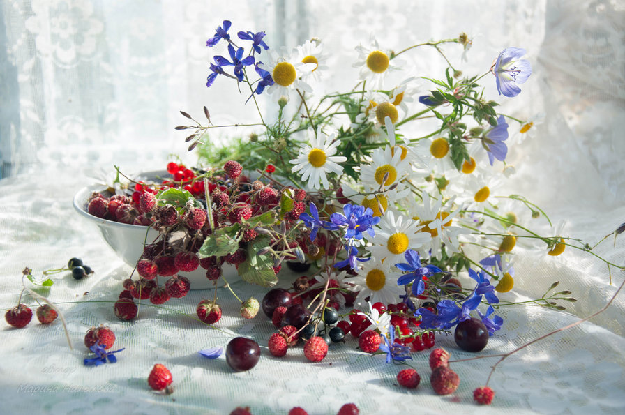 Ромашки и ягоды - натюрморт, ягоды, цветы, васильки, ромашки - оригинал