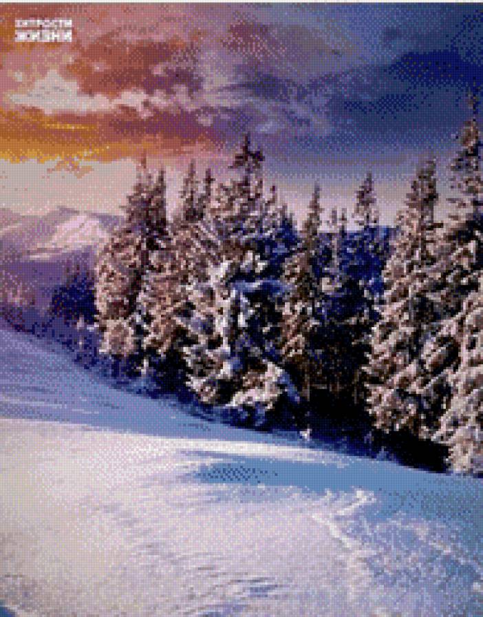 №843980 - снег, деревья, небо, лес, зима - предпросмотр