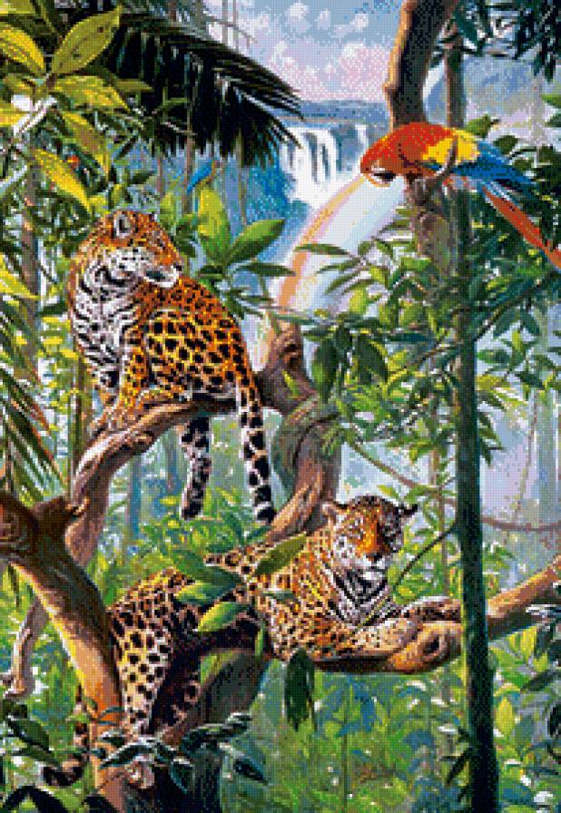 дикая природа - хищники, леопарды, попугай, птицы, кошки, леопард, животные, джунгли - предпросмотр