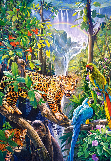 дикая природа 2 - леопарды, животные, кошки, хищники, джунгли, птицы, пантера, попугай - оригинал