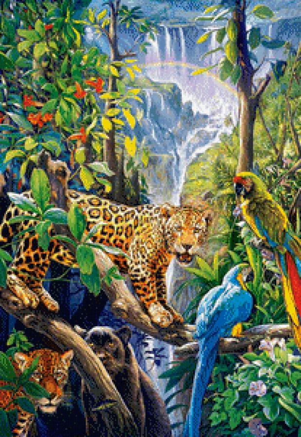 дикая природа 2 - кошки, животные, леопарды, джунгли, хищники, пантера, попугай, птицы - предпросмотр