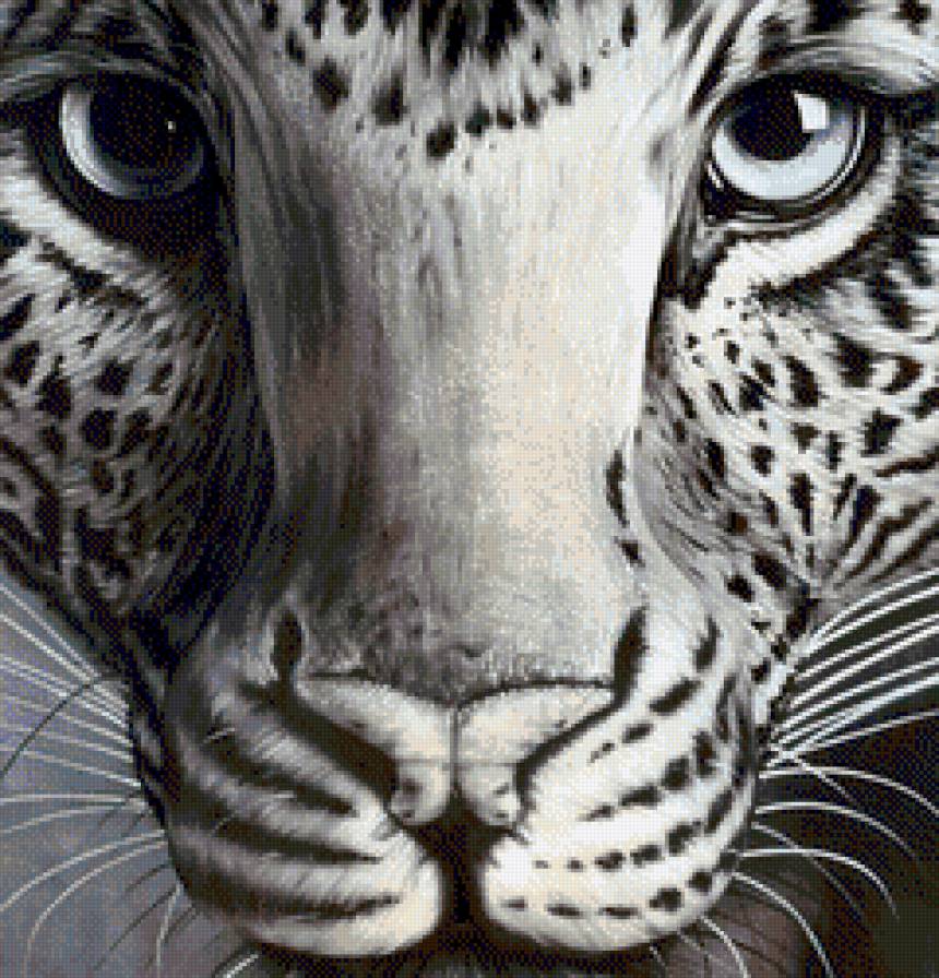 милые глазки - леопард, животные - предпросмотр