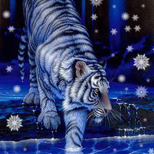 Схема вышивки «Тигр зимой»