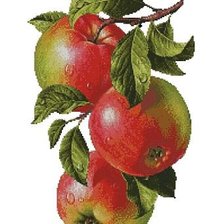 Оригинал схемы вышивки «яблоки» (№846402)