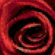 Предпросмотр схемы вышивки «роза чайная» (№846431)