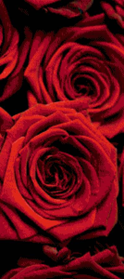 Триптих красные розы (3 часть) - триптих, розы - предпросмотр