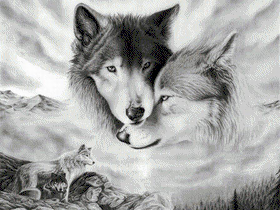 Вовки - вовк, почуття, тварини - предпросмотр