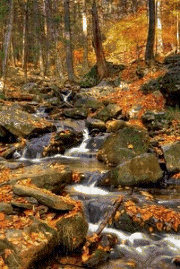 осінь - вода, дерева, ліс, природа - предпросмотр