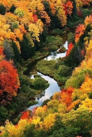 осінь - дерева, вода, природа, ліс - оригинал