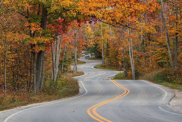 осінь - дорога, природа, ліс - оригинал