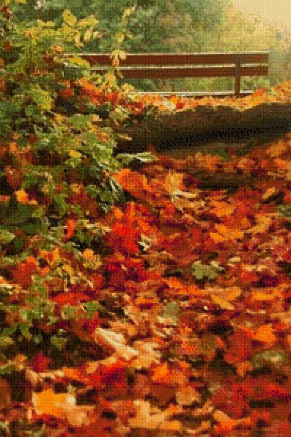 осінь - природа, ліс, листя - предпросмотр