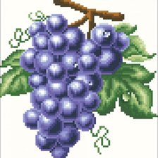Схема вышивки «Виноград»