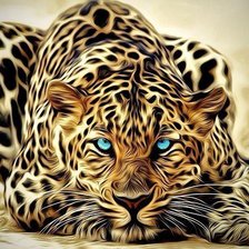 леопард нереальный красавец