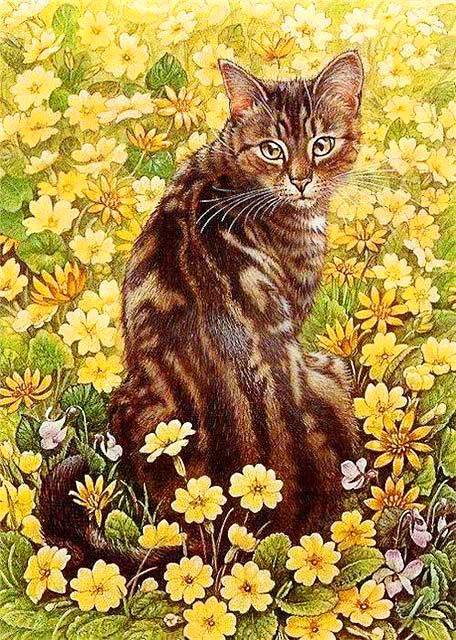 Кот - кот, цветы, животные, кошка - оригинал