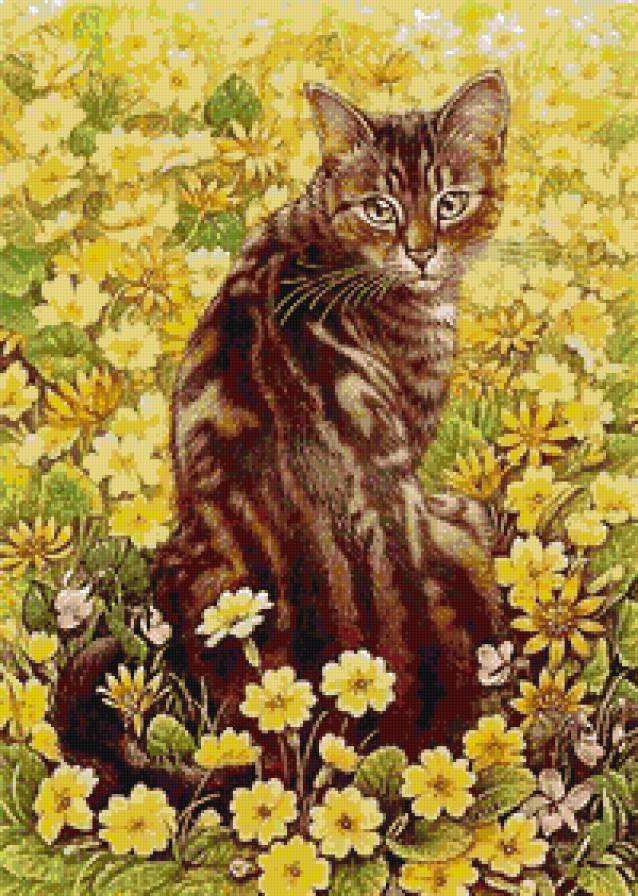 Кот - кот, животные, цветы, кошка - предпросмотр