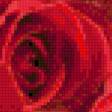 Предпросмотр схемы вышивки «троянди» (№848594)