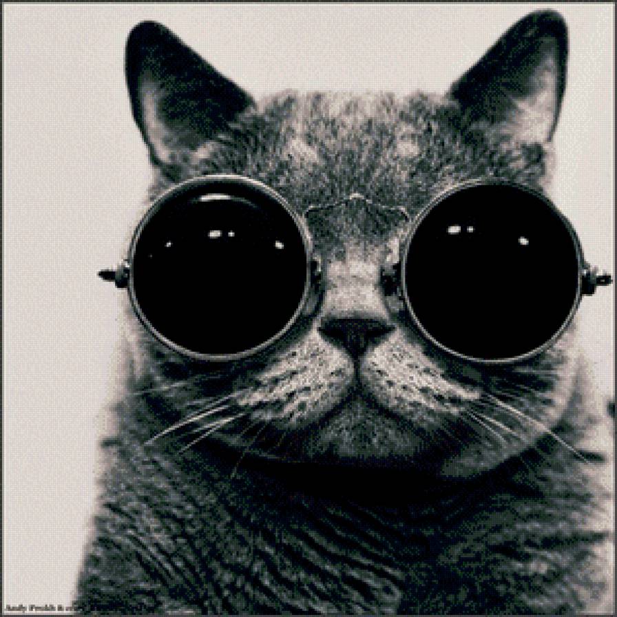 кот в очках - кот, животные, очки, черно белое - предпросмотр