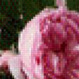Предпросмотр схемы вышивки «розовые розы» (№849439)