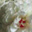 Предпросмотр схемы вышивки «белые пионы с зефиром» (№849460)