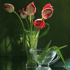 Оригинал схемы вышивки «тюльпаны» (№849480)