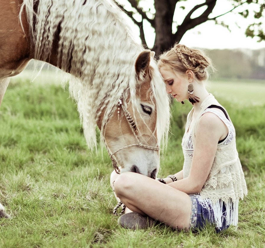 №850149 - девушка, лошади, портрет - оригинал