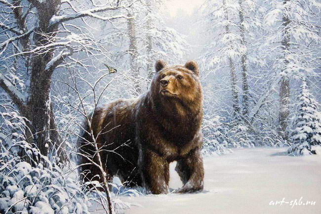 синичка и медведь - зима, природа, зверь, медведь - оригинал