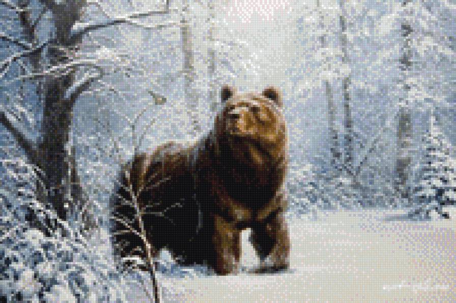 синичка и медведь - природа, зима, зверь, медведь - предпросмотр