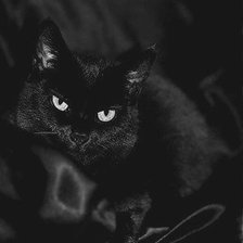 Оригинал схемы вышивки «чёрный кот» (№853334)