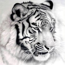 Оригинал схемы вышивки «Тигр» (№853879)