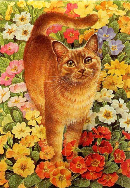 Рыжик - кот, животные, цветы, природа - оригинал