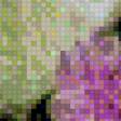 Предпросмотр схемы вышивки «Колибри в цветах» (№854965)