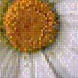 Предпросмотр схемы вышивки «Цветы» (№855169)