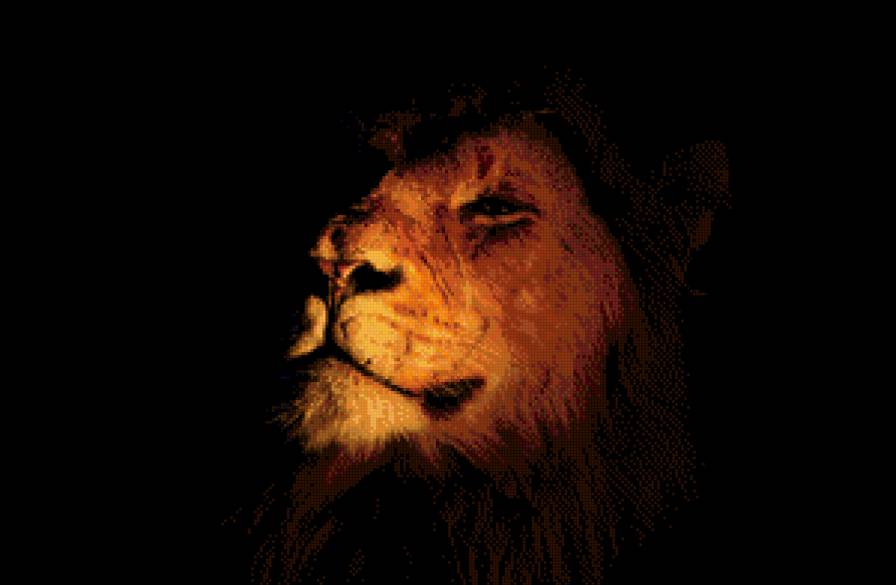 лёвушка - лев, царь зверей, кошки, саванна, африка - предпросмотр