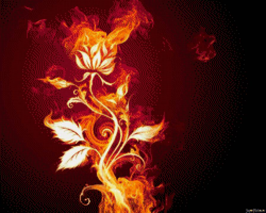 цветок - огонь, пламя, цветы, цветок - предпросмотр