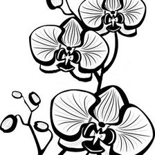 Оригинал схемы вышивки «орхидеи» (№855668)