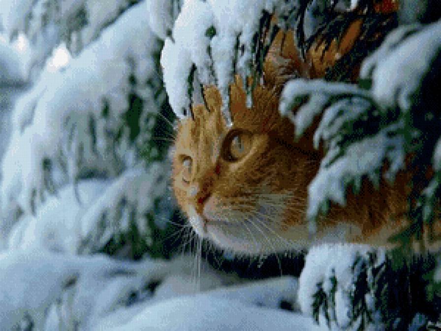 кот в зимнем лесу - лес, зима, кот, животные - предпросмотр