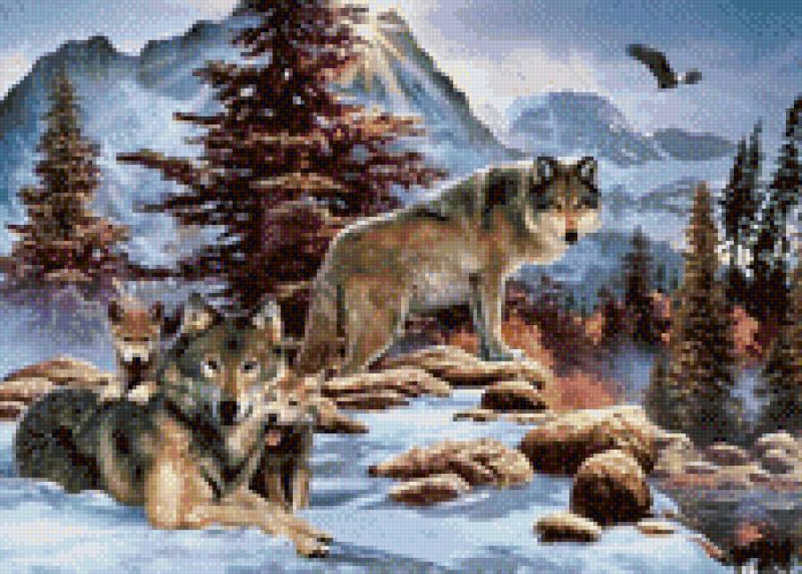 семейство волков - предпросмотр