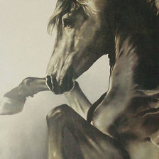 Оригинал схемы вышивки «лошадь» (№856974)