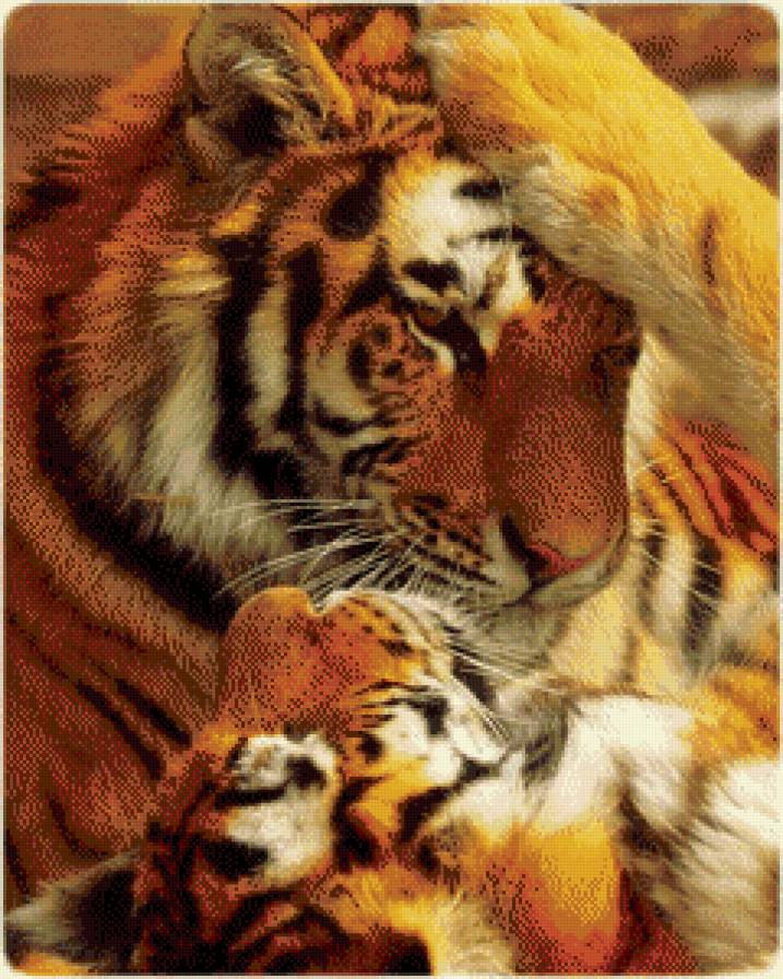 Тигры - тигры, животные, нежность, кошки, поцелуй - предпросмотр
