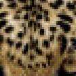 Предпросмотр схемы вышивки «Леопард» (№857787)